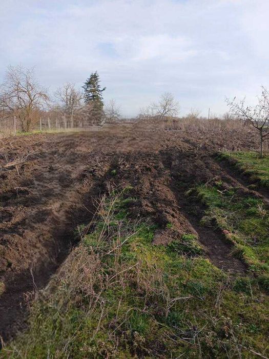 Продава се Къща в с. Пчеларово, Област Добрич - 70 кв.м за 234 €/кв.м - Снимка #3