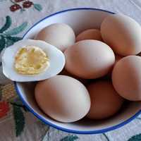 Продажа домашних яиц