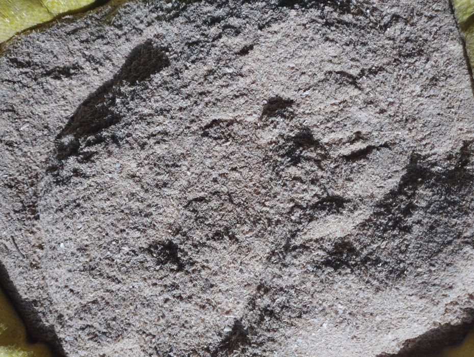 Kepak 25 kg.                                .