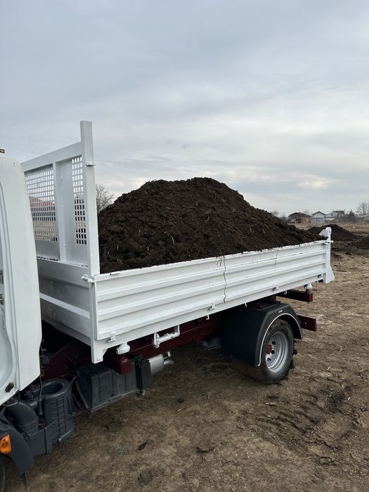 Mranita balegar putred ingrasamant