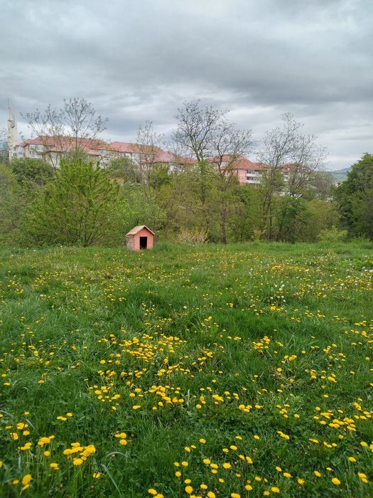 Vând teren intravilan