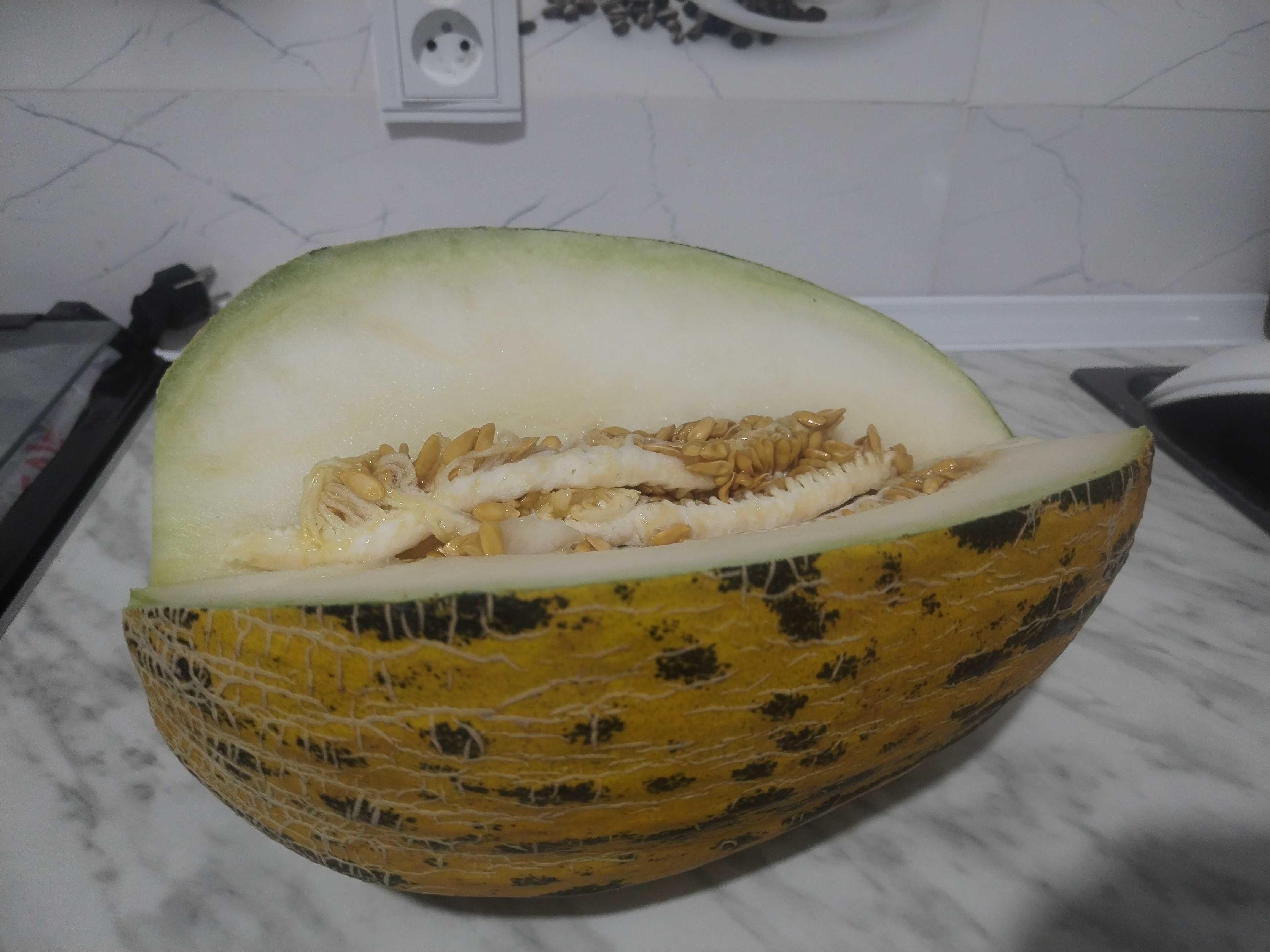 Surxon qishki qovun navi