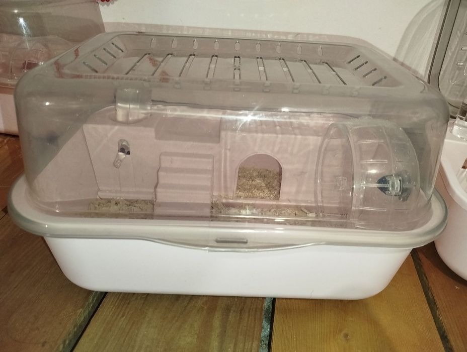 Питомец с домиком, джунгарский хомяк с панорамным двухэтажным домиком