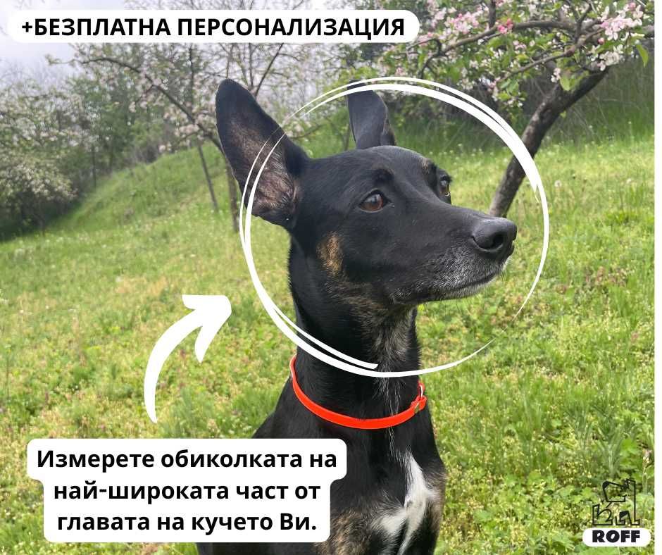 Универсален биотан нашийник