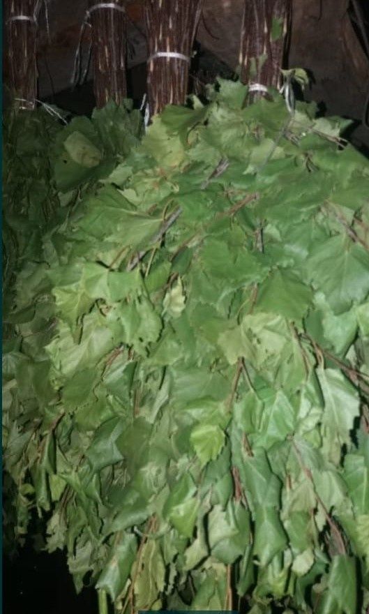 Продам банные веники