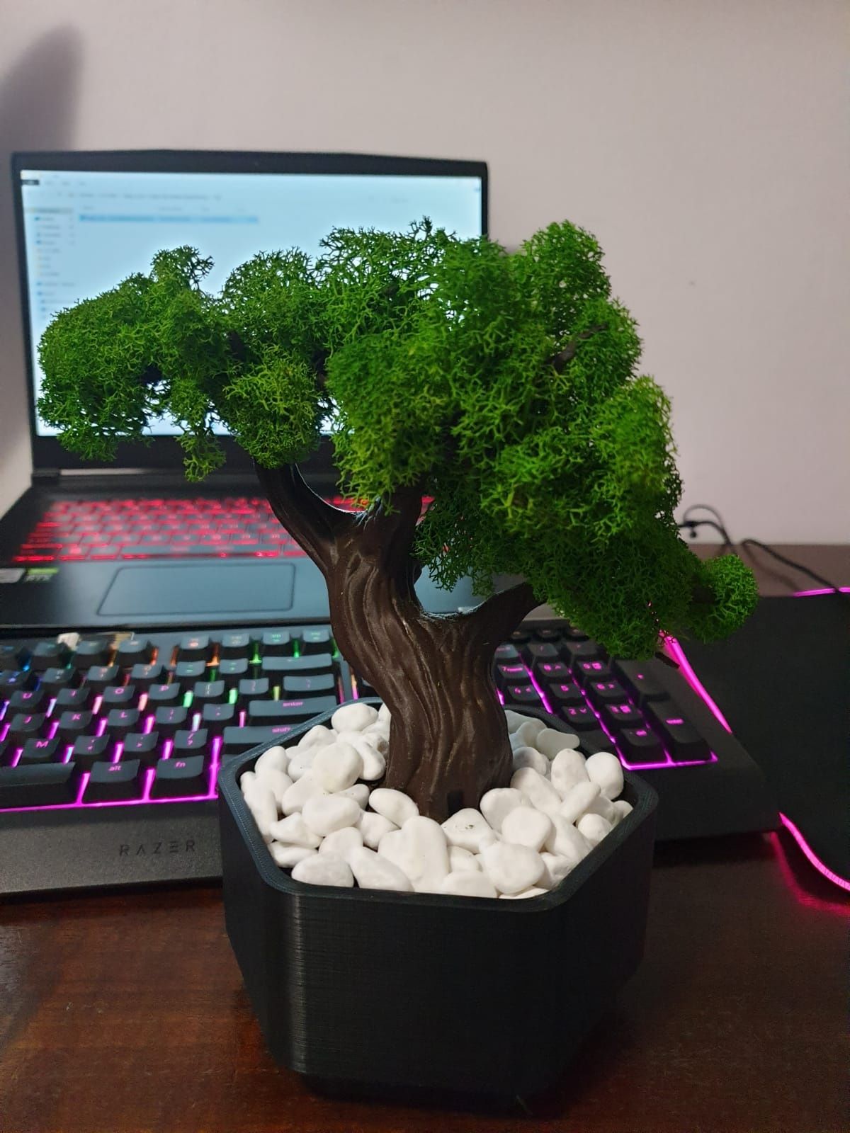 Copac/ bonsai printat 3D