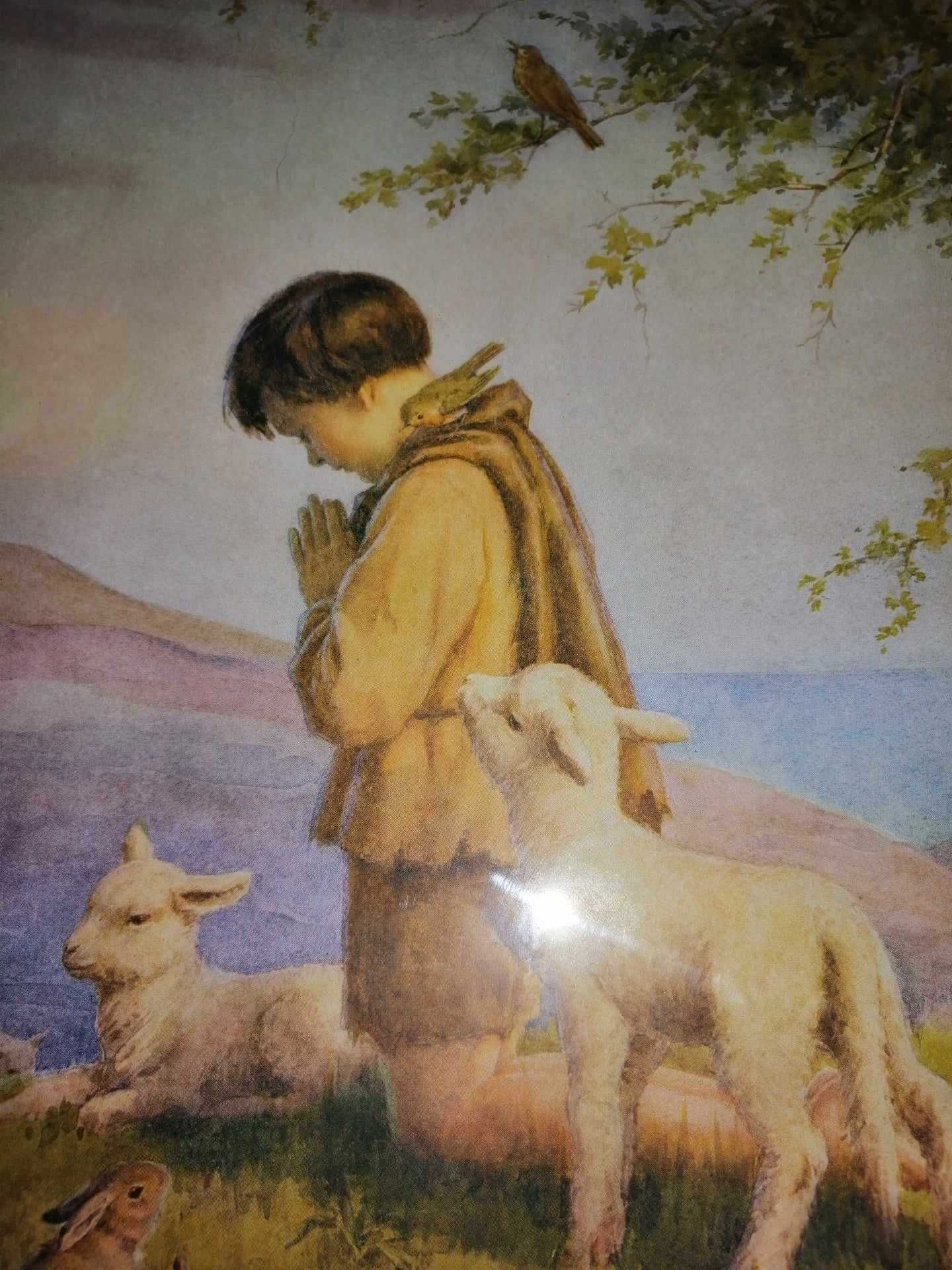 Tablou religios copil baiat rugandu-se cu miel rugaciune print