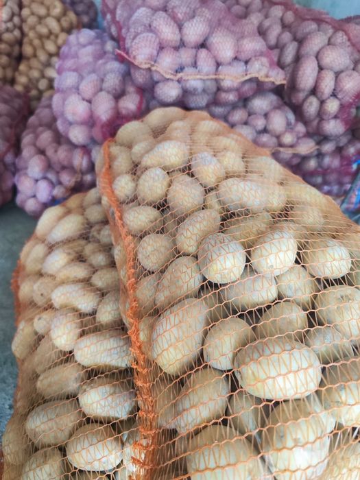 Cartofi albi de vânzare