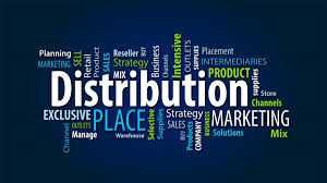 Distribution Bo`yicha Trening
