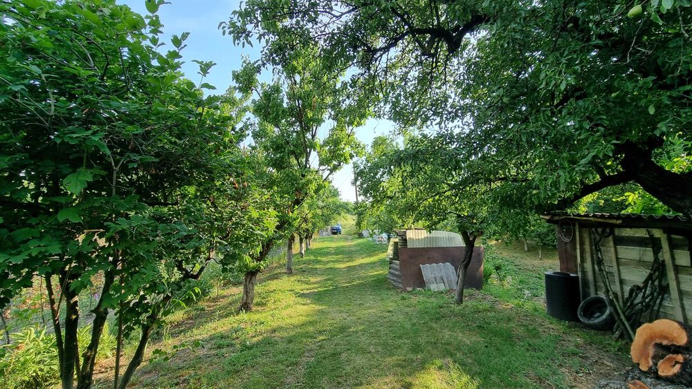 Vând Teren și Casă Viforâta, Târgoviște, Mănăstirea Dealu