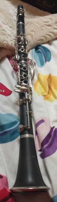 Vând Clarin sau schimb cu tobă