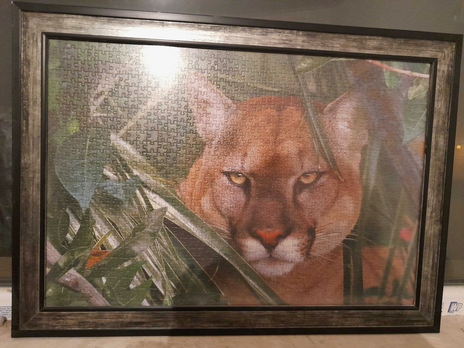 Картина пъзел 78/57 см.