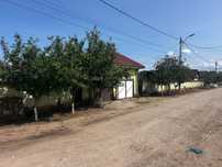 Casa de vanzare cu teren 2500mp Corabia Olt
