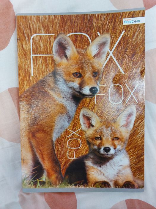 Caiet studențesc dictando 100 file