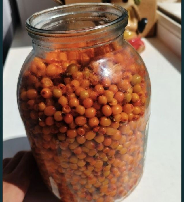 С доставкой до двери бесплатно ягоды жидектер облепиха