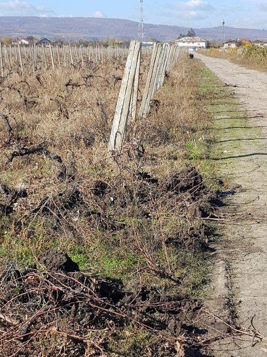 Vand spalieri de beton
