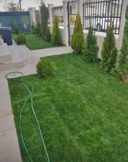 Grădina Verde începe cu Gazon și Udare