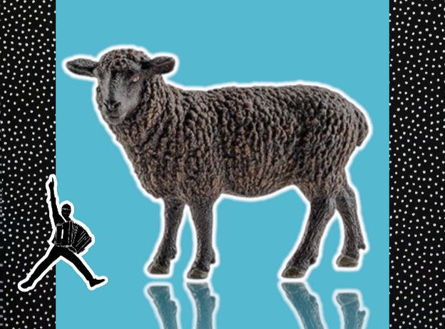 • Қой қошқар тоқты тұсақ саулық қозы овец баран овца кой токты КТ10