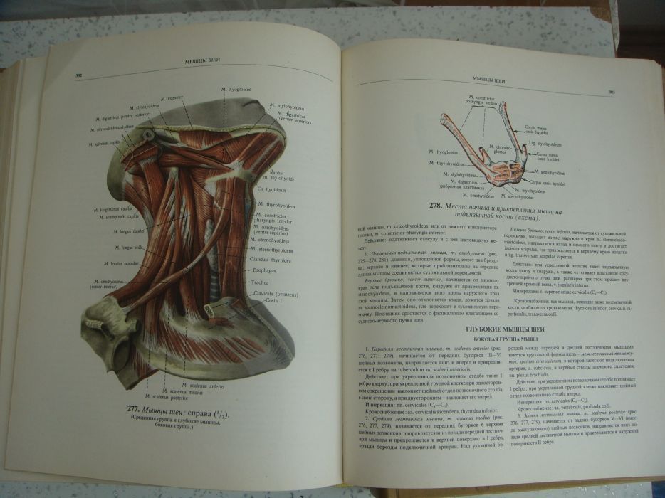 Атласи по анатомия на човека Синелников в 3 тома, Атлас цветен
