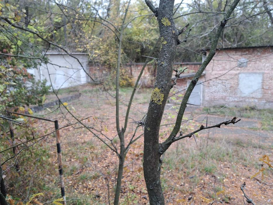 Склад с асфалтиран терен към него под наем, гр. Велико