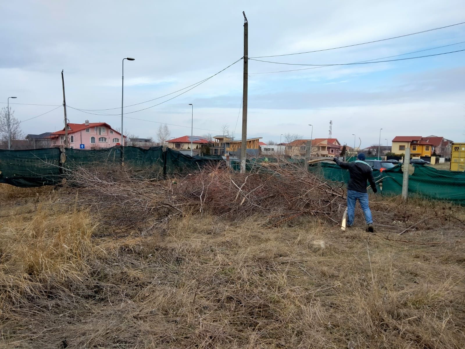 Curatare-cosire spatii verzi transport resturi vegetale