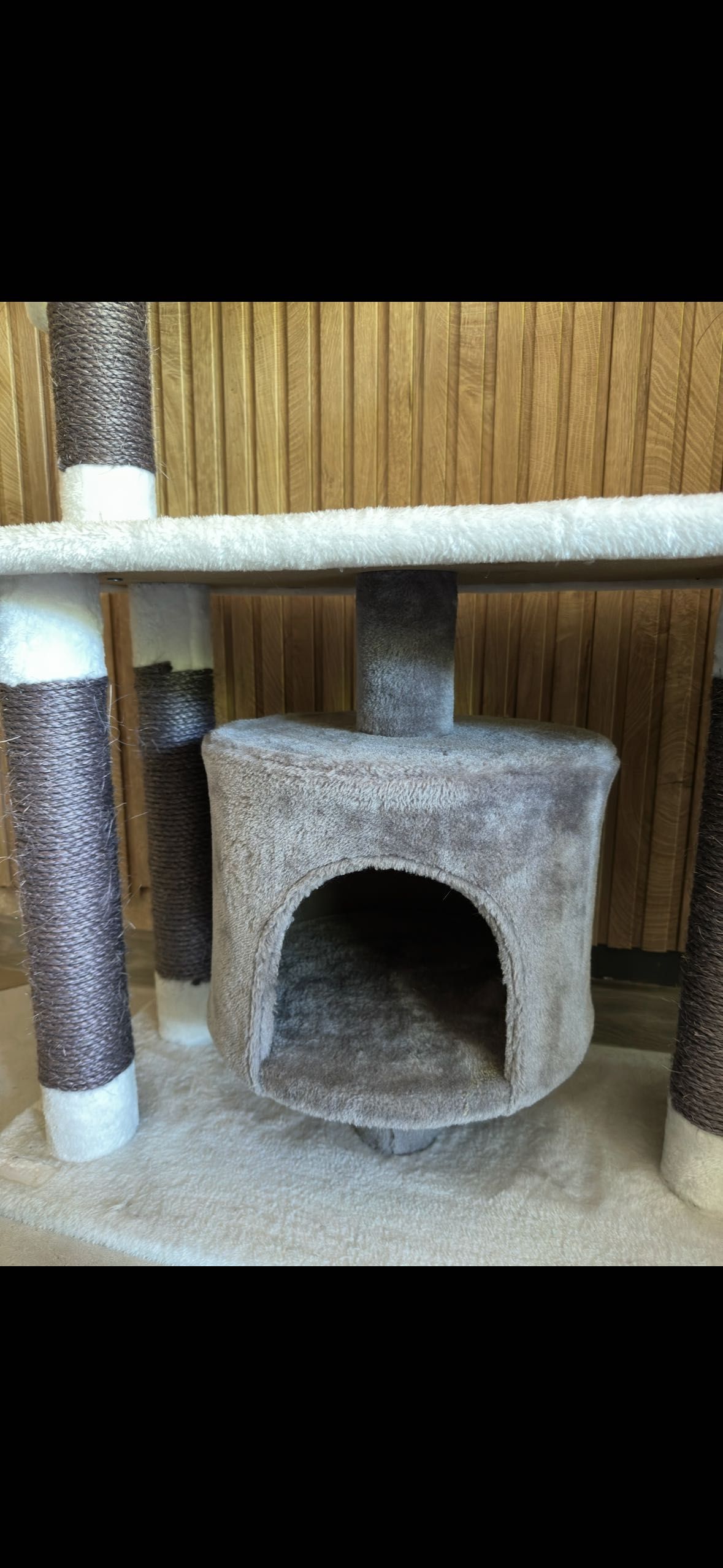 Котешка катерушка