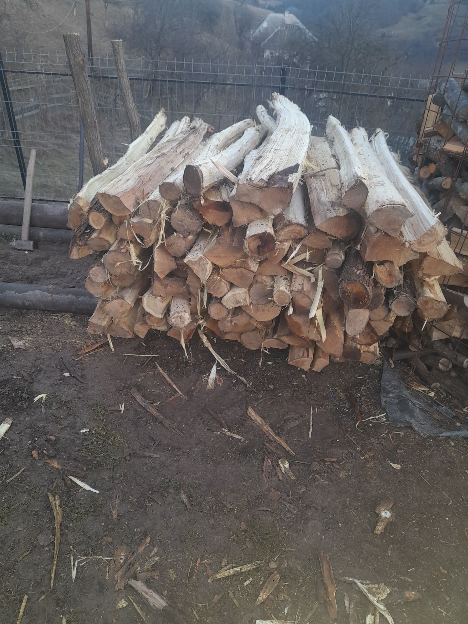 Se vând sâlpi de salcâm