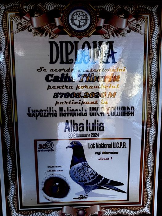 Vand voiajori zburati