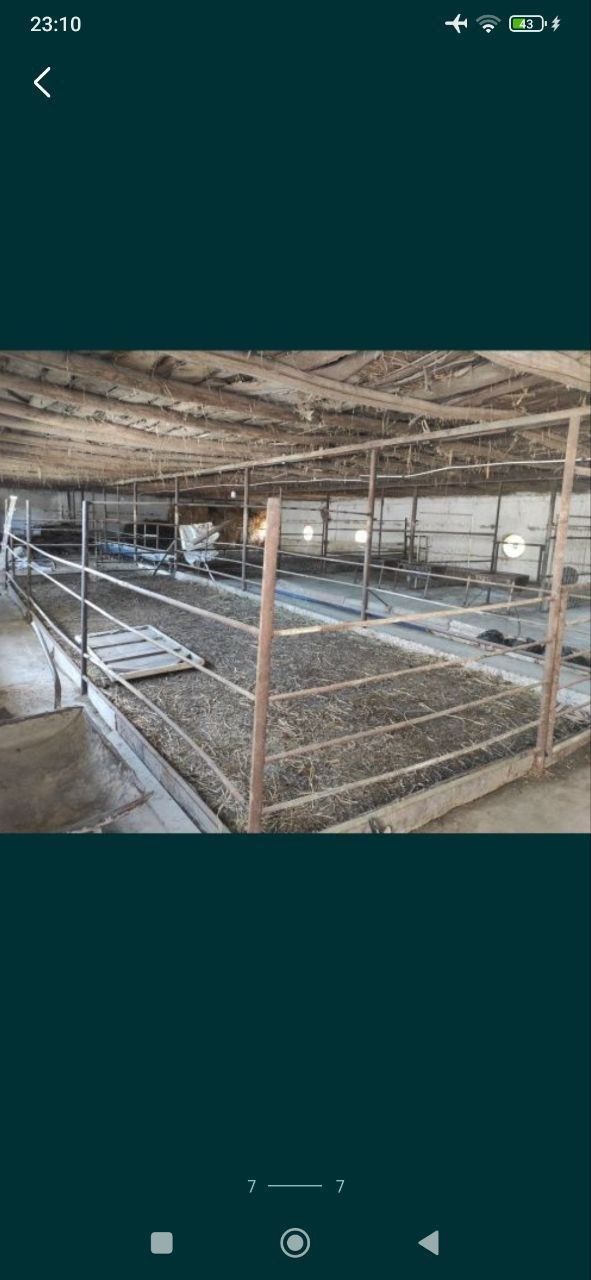 Dacha sotiladi orta saroyda uy sotiladi