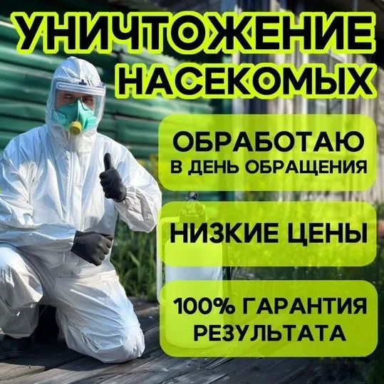 Dizinfeksiya shok narhda дезинфекция дезинсекция dezinfeksiya клопа