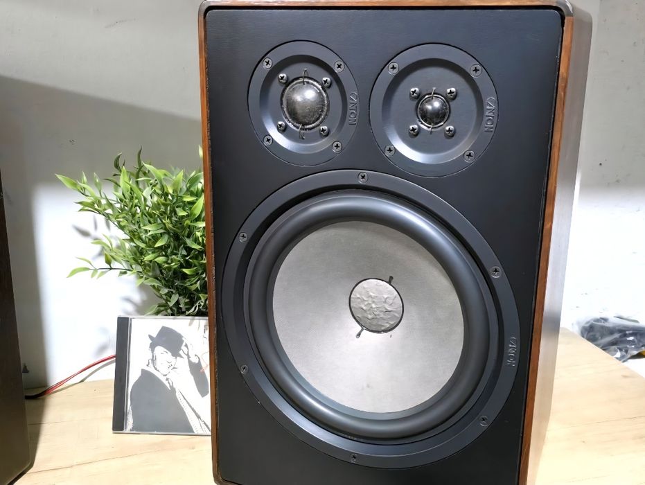 Boxe pasive CANTON GLE-70, hifi pe 3 cai, compresie , 4-8 ohm, 25hz,