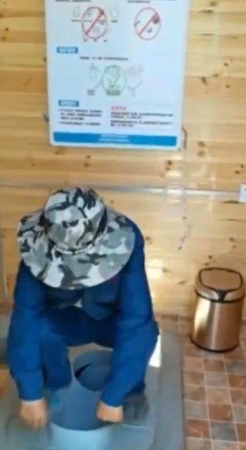 Само-ассинезирующиеся биотуалеты