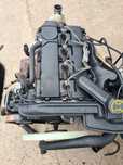 Motor ford transit