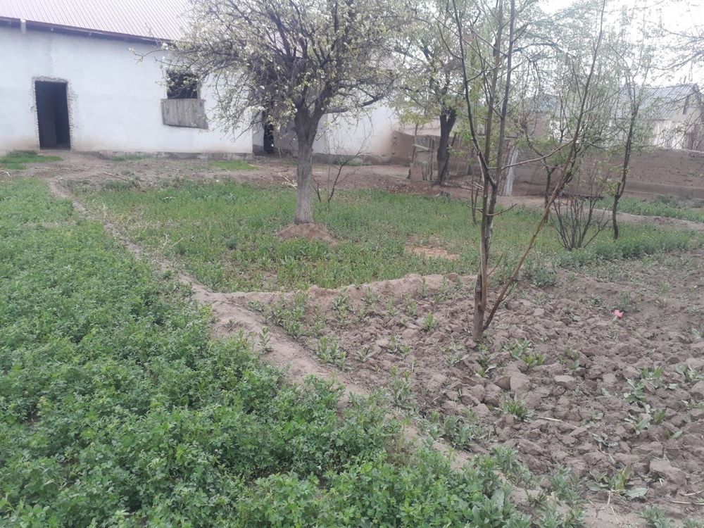 Remonti tugallanmagan 6 xonalik dacha sotiladi
