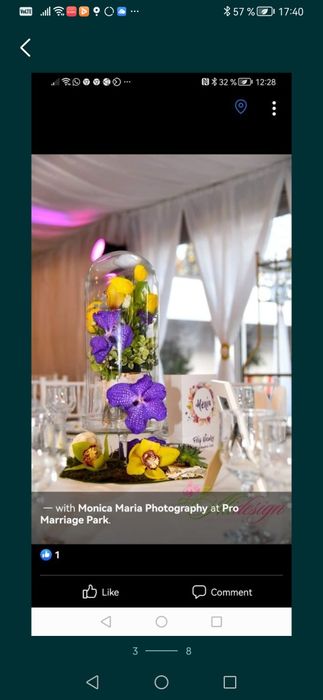 Vand farfurii, panou, indicator nunta, cupole sticla, copacei cristale