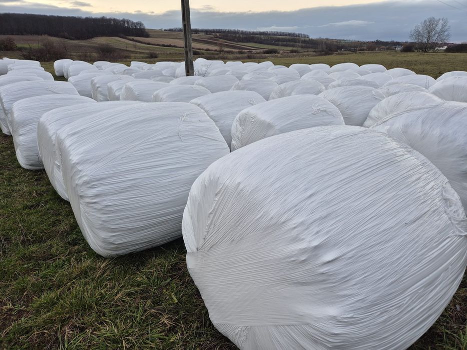 Baloti infoliati de lucerna