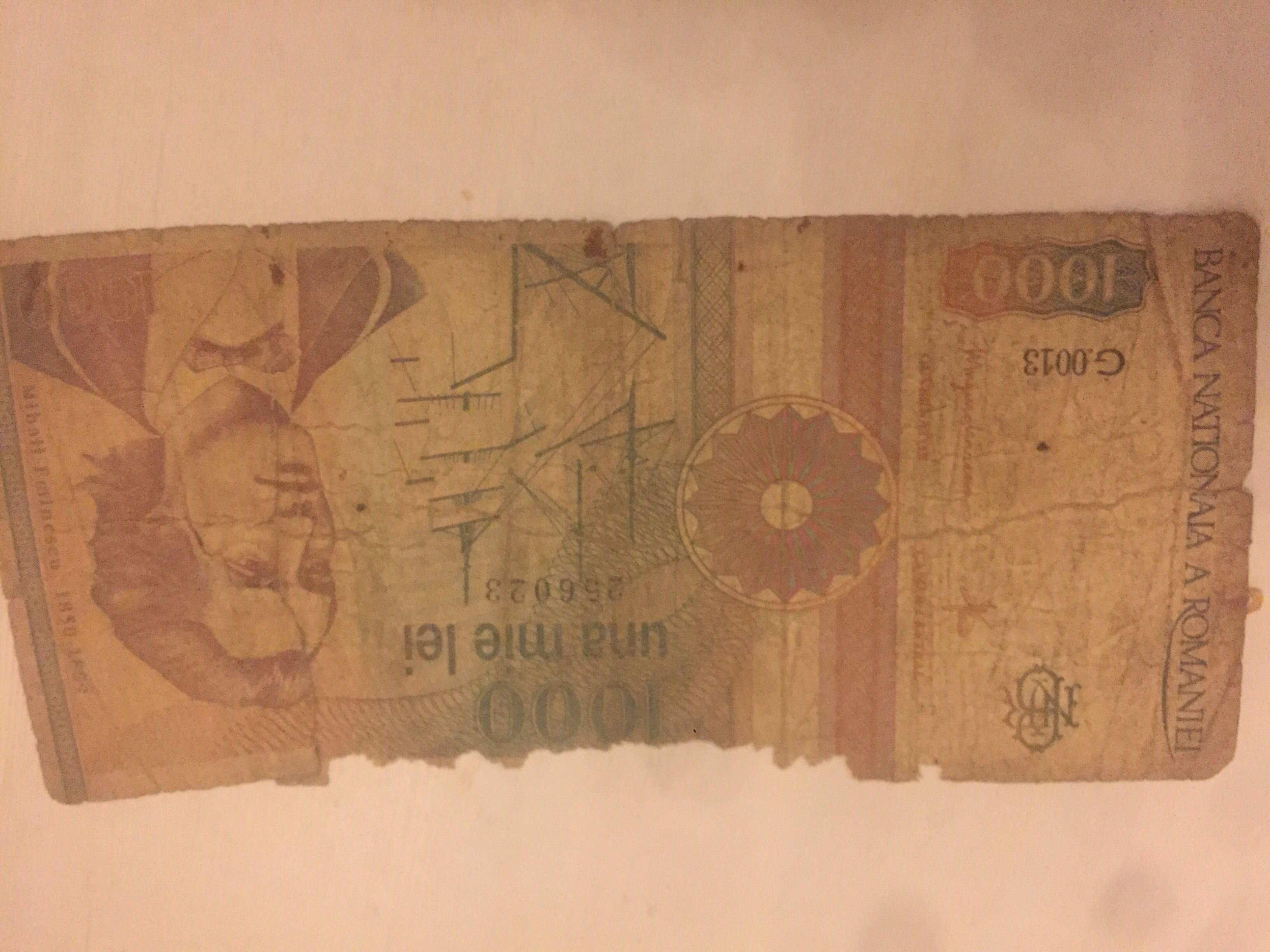Bancnota 1000lei din 1991