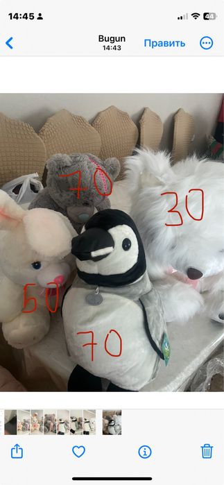 Teddy мягкие игрушки новые