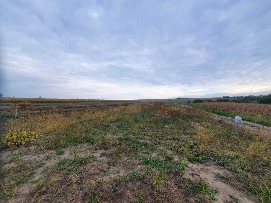 parcele de teren langa Botosani pt investitii