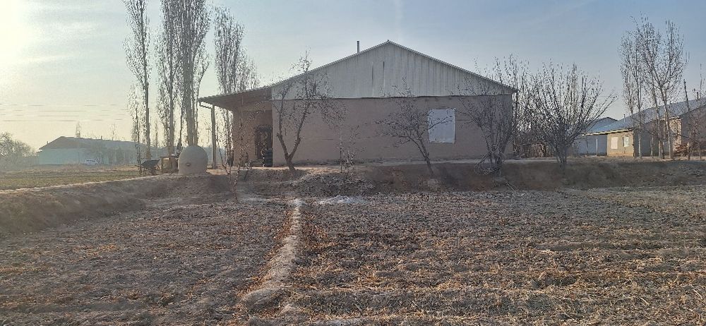 Tòrtkulda tumani Shorahonda joy sotilodi