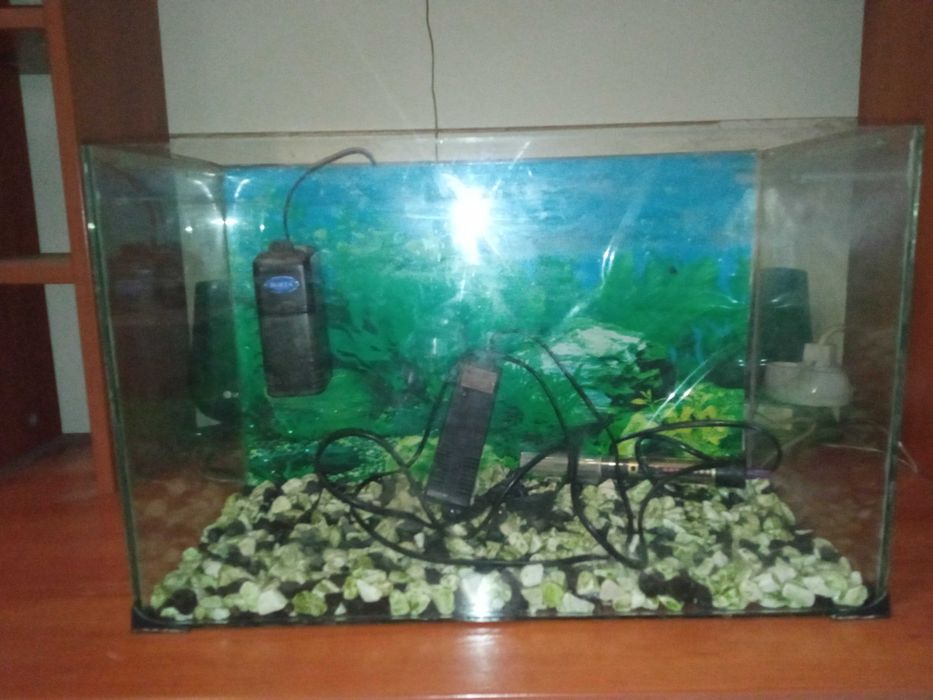 Аквариум 50 литра - оборудван