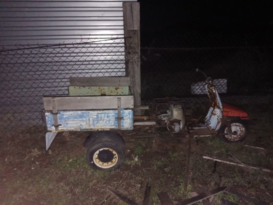 Продам муравей  .