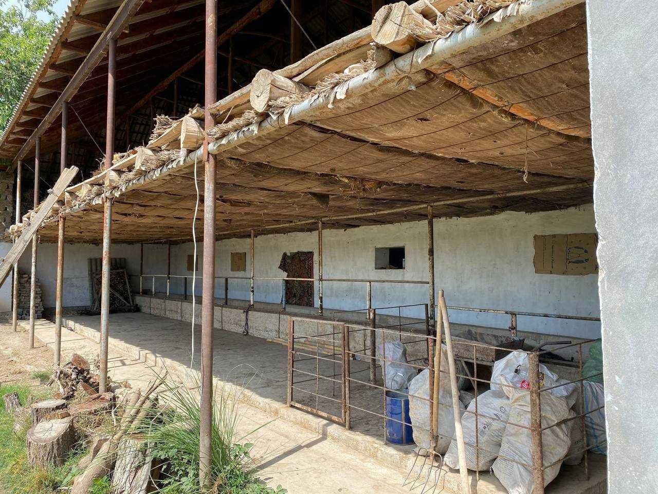 Sayxunobod tumanida molxona binosi bolib tolash sharti bilan sotiladi