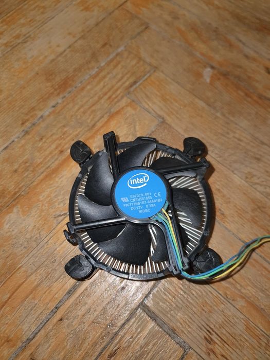 Coller intel stock
