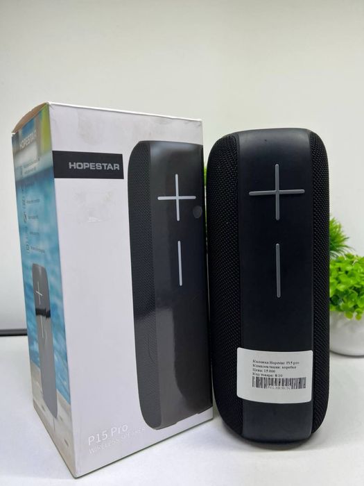 Колонка Hopestar P15 pro