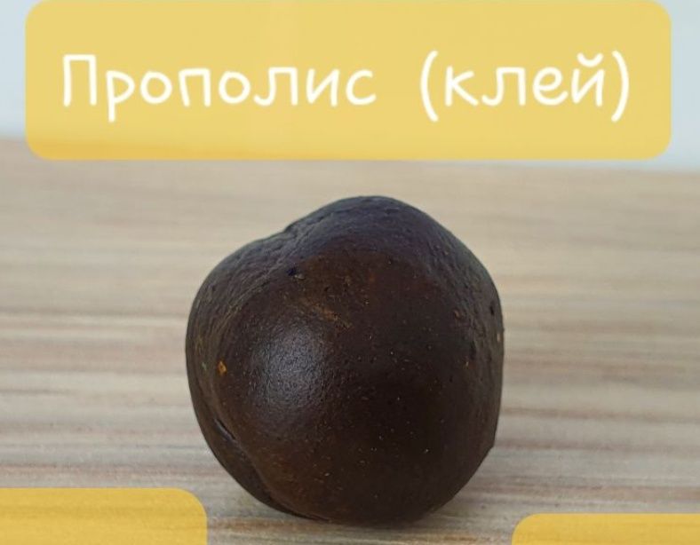 Пчелен Прополис ( клей )