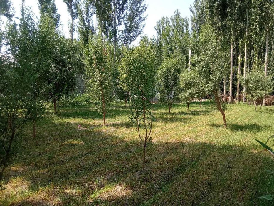 СРОЧНО Ҳовли жой сотилади