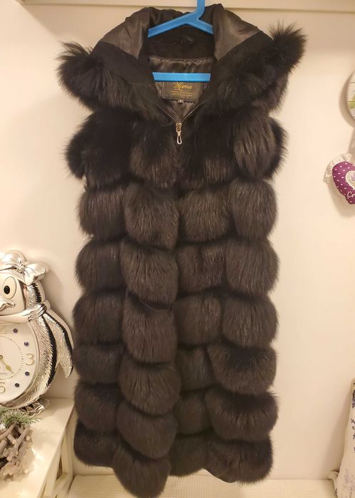 Vesta blana vulpe polara