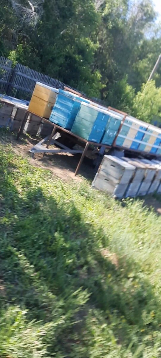 Пчела прицеп вместе