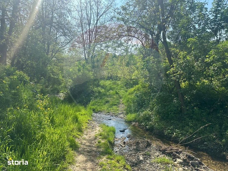 Teren 1,000mp Magura / Strada Valea Magurii